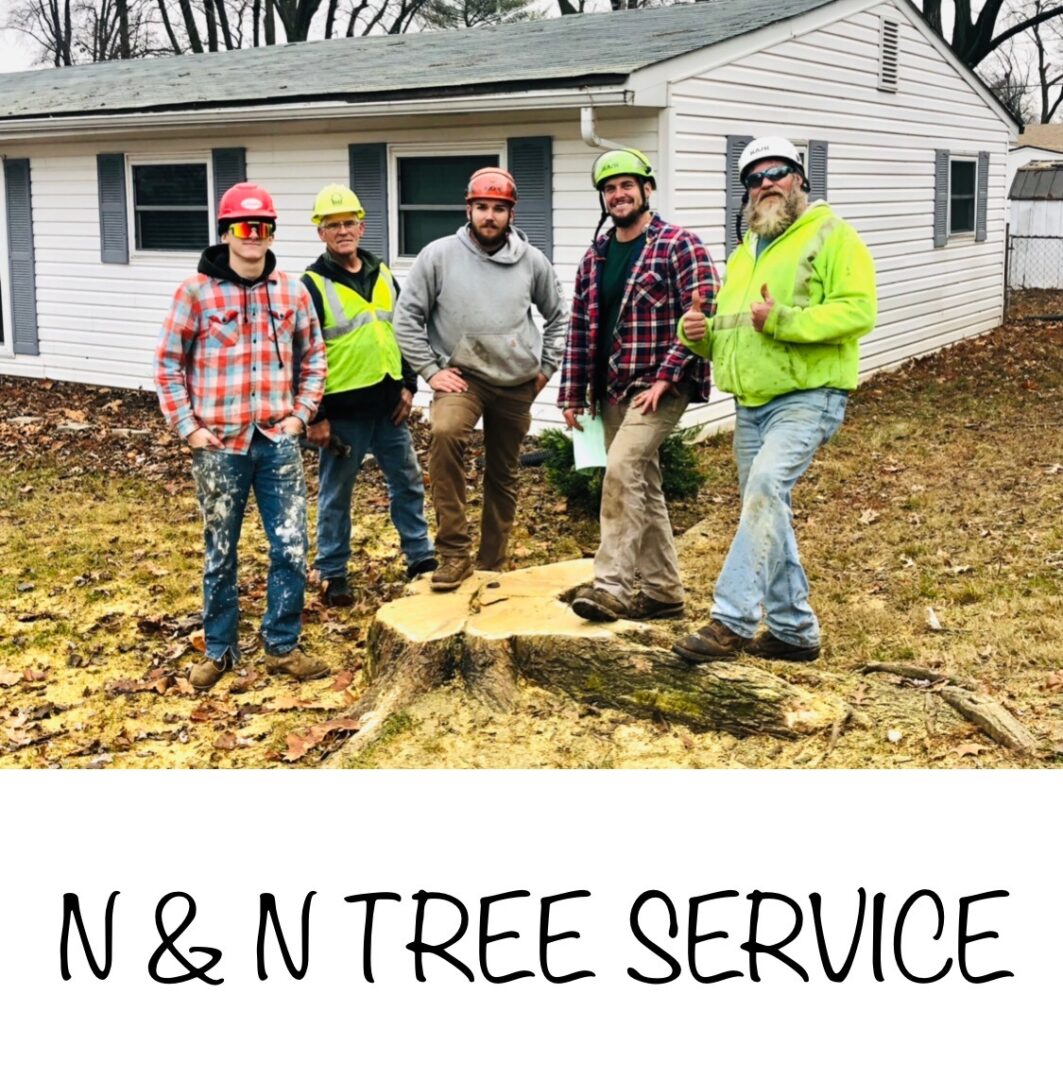 Team in safety gear near cut tree