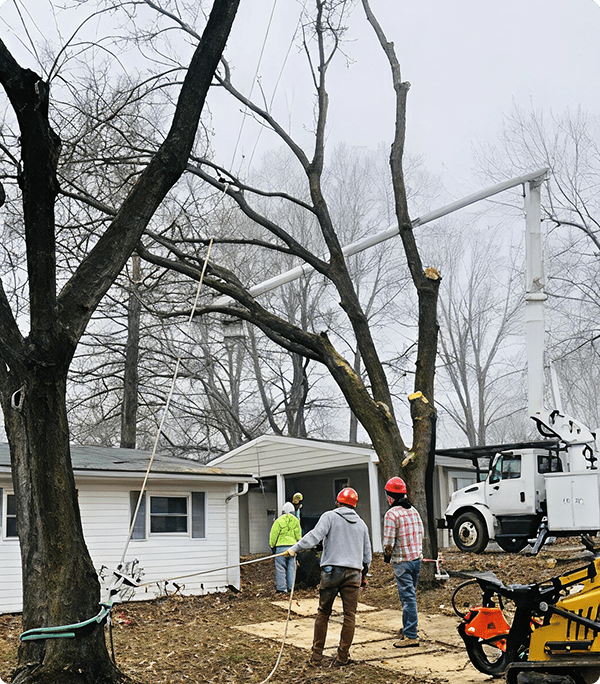 Workers cutting branches near a house