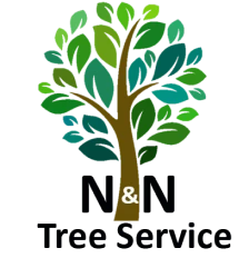 Tree with gradient green leaves logo