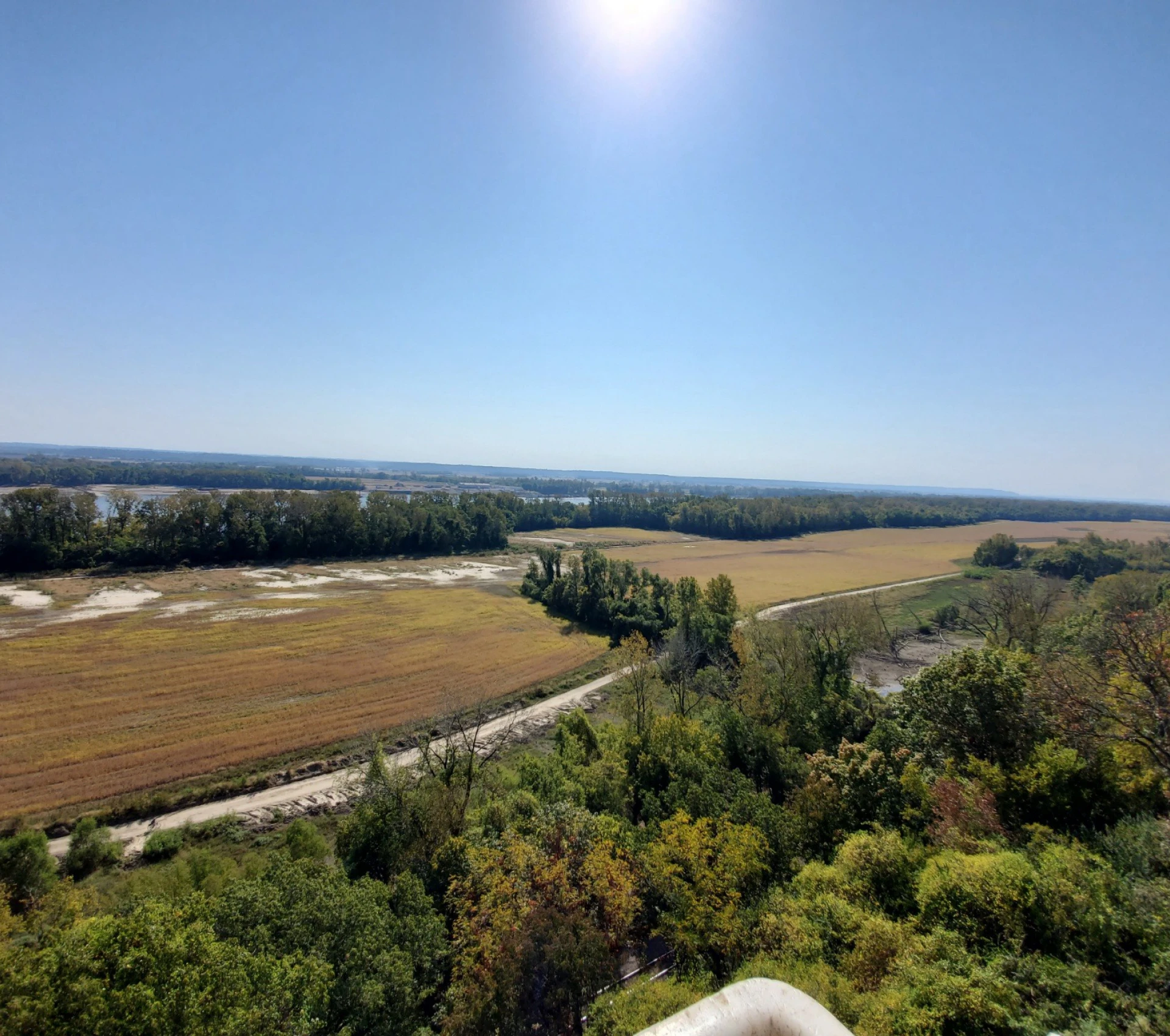 Sunny landscape with fields and trees