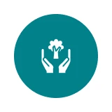 Modern Tools, Expert Techniques